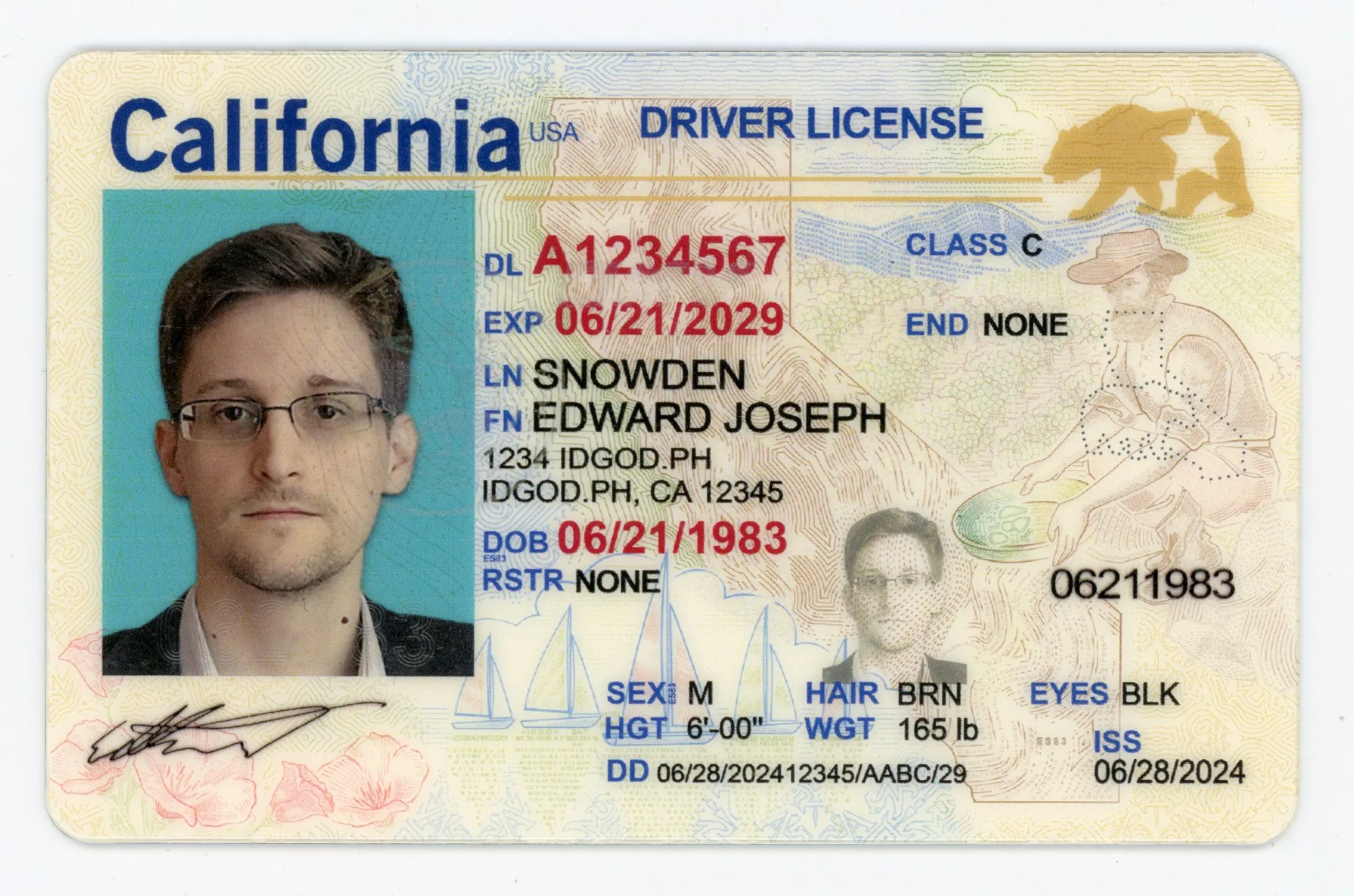California Fake ID Penalties: What the Law Covers & Why It Matters