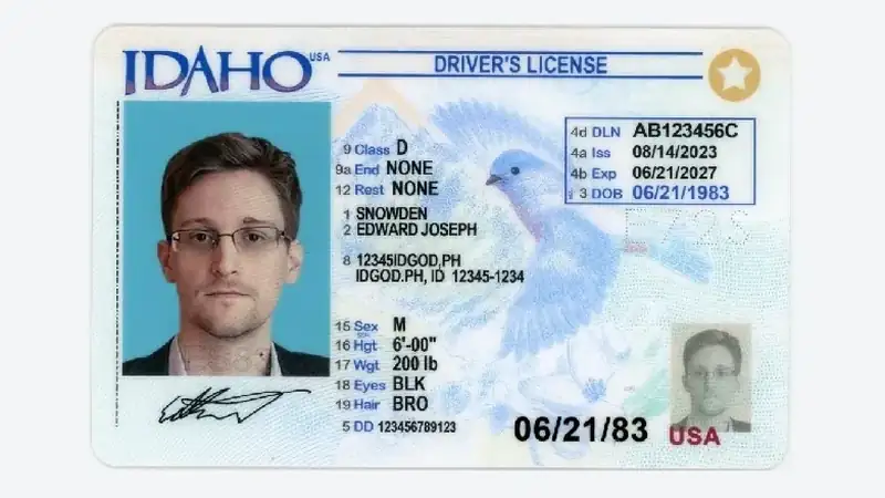 Novelty ID vs Fake ID: Key Differences, Legal Status, and Risks