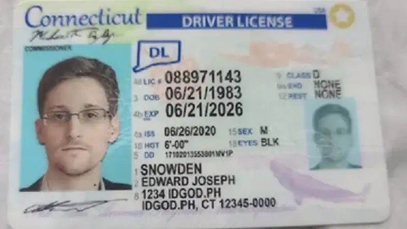 Fake Connecticut IDs: Laws, Risks, and How Connecticut Identification Is Verified