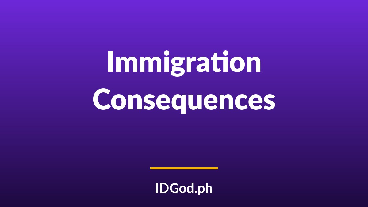 Fake ID Charges and Immigration or Visa Status