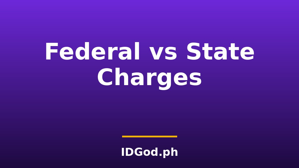 Federal vs State Fake ID Charges