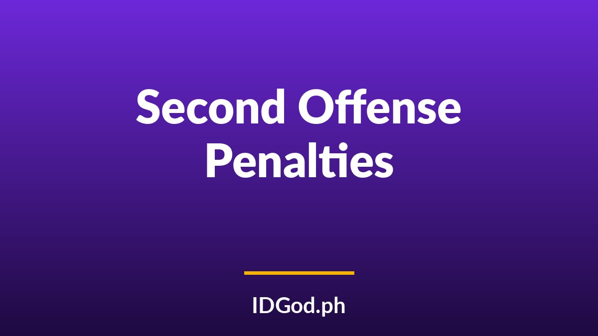 What Happens on a Second Fake ID Offense