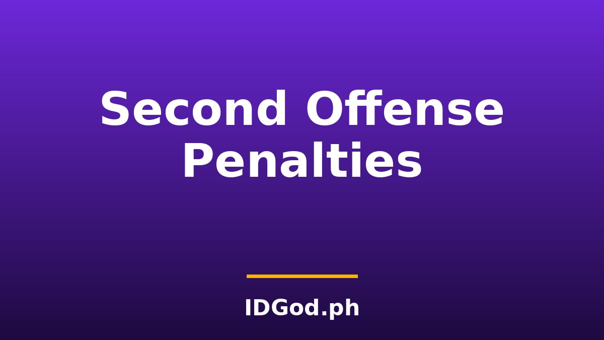 What Happens on a Second Fake ID Offense