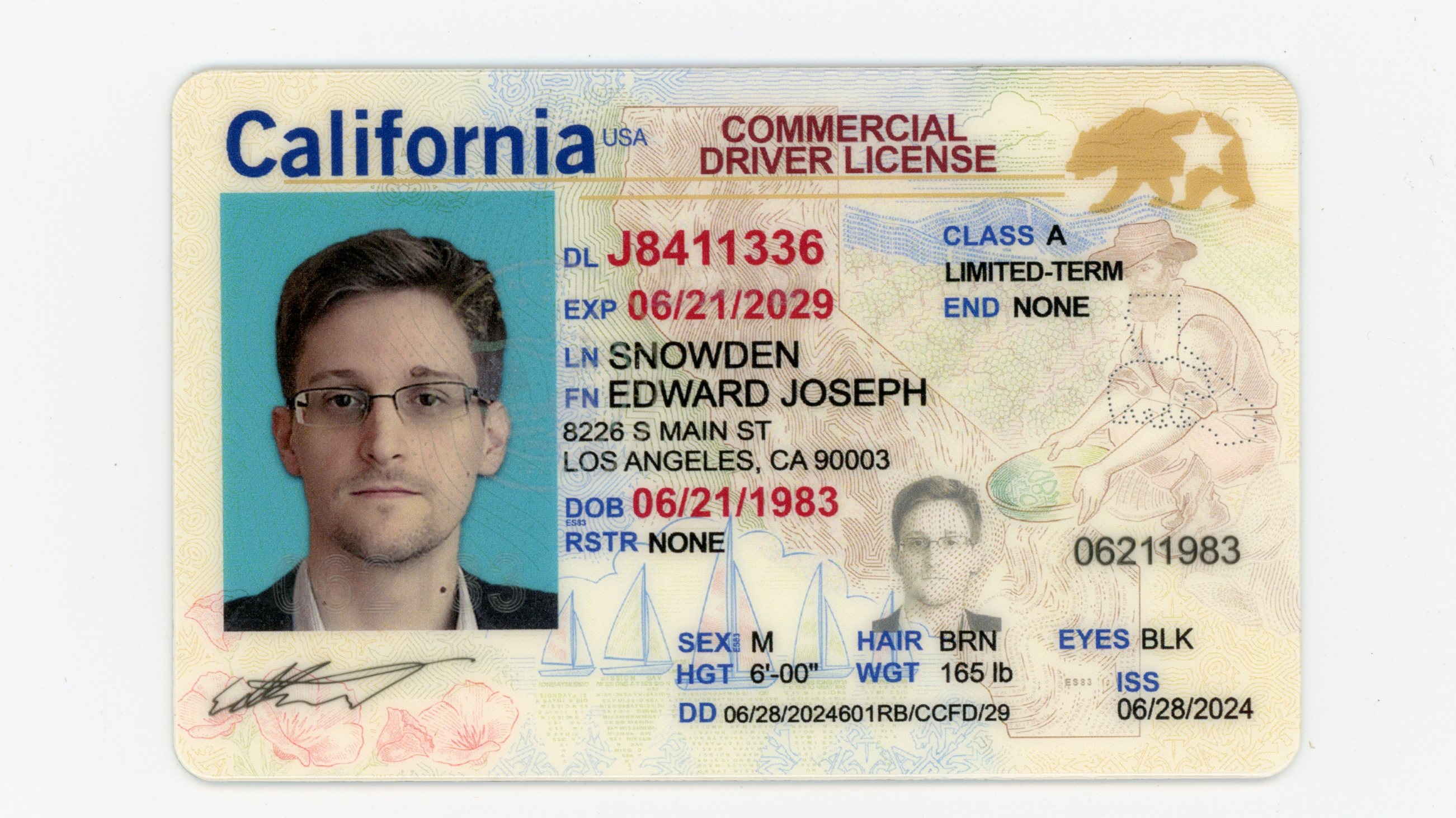 CDL California Polycarbonate - Official State Material CDL Fake ID