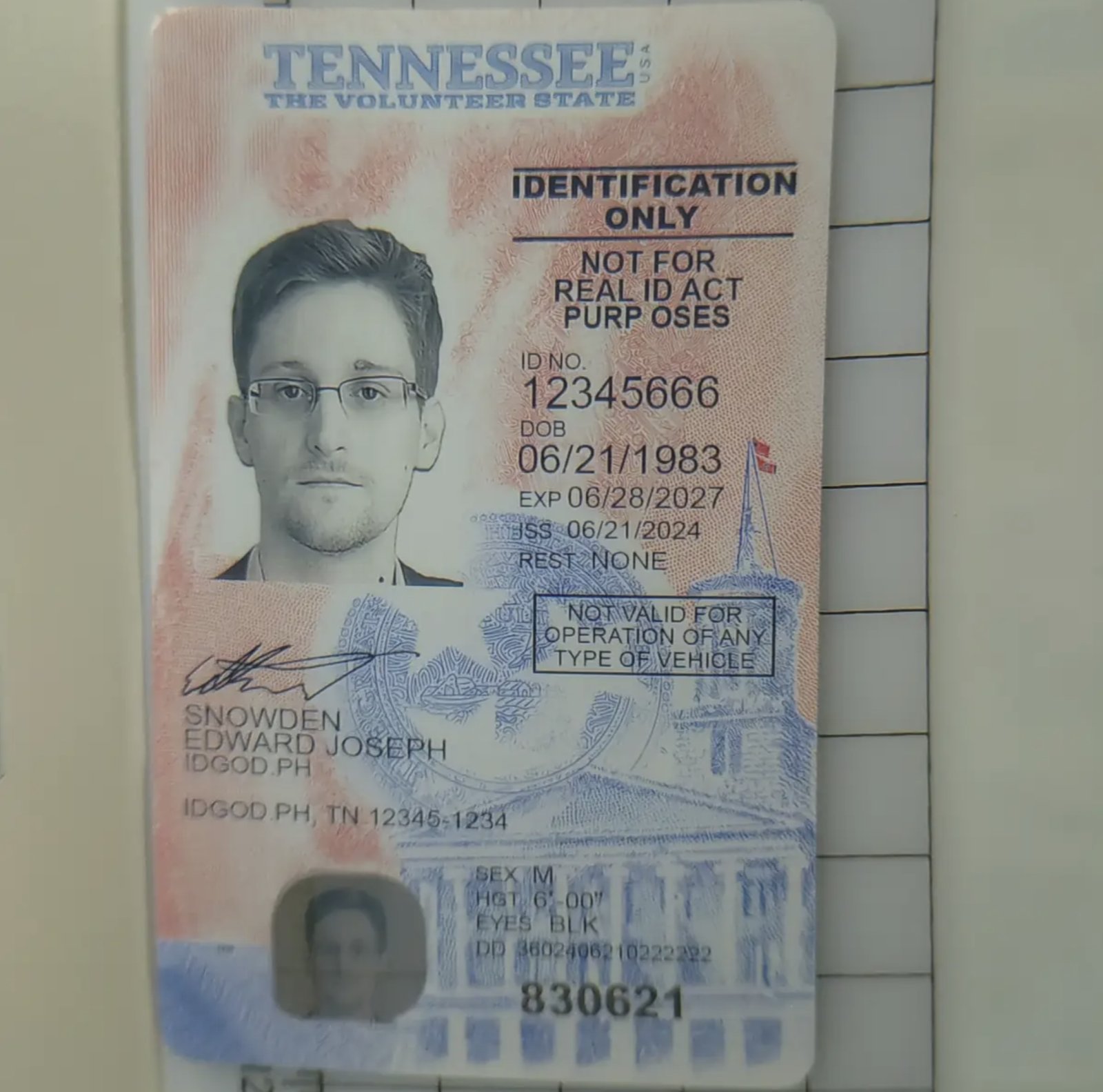 Tennessee Identification Card Only Fake ID