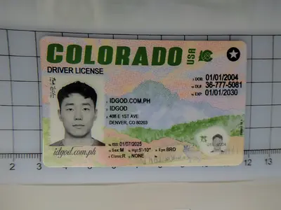 Colorado Fake ID Fake ID