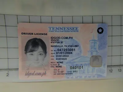 Tennessee Fake ID Fake ID