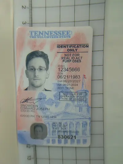 Tennessee Identification Card Only Fake ID