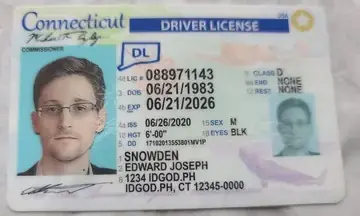 Connecticut Polycarbonate - Official State Material Fake ID Fake ID