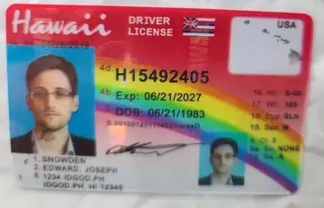 Hawaii Fake ID