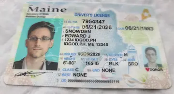 Maine Fake ID - Polycarbonate Official State Material ID God