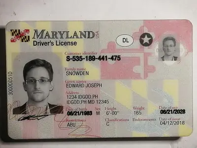 Maryland Fake ID | Buy Scannable MD IDs with UV Holograms ID God