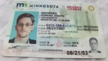 Minnesota Fake ID Fake ID