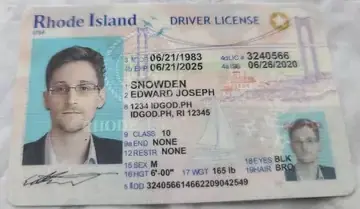 Rhode Island Polycarbonate - Official State Material Fake ID Fake ID