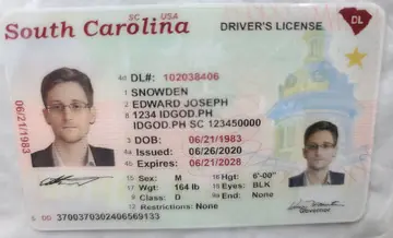 South Carolina Fake ID | Buy Scannable IDs with UV Holograms ID God