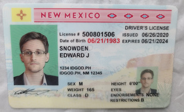 High-Quality New Mexico Fake ID with Security Features