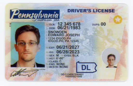 Premium Pennsylvania Fake ID