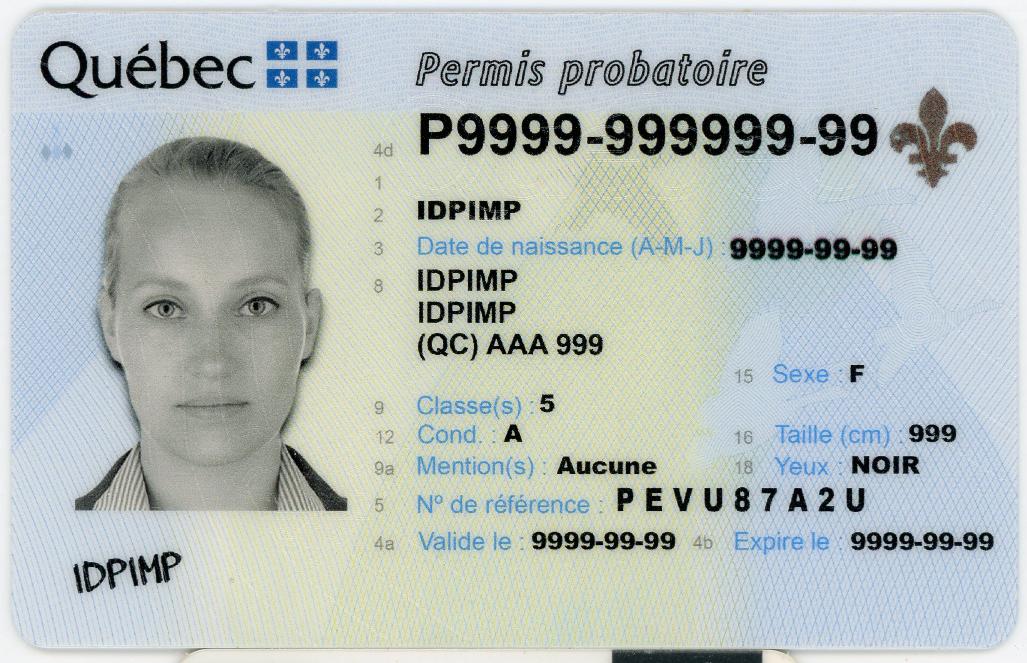 fake id for